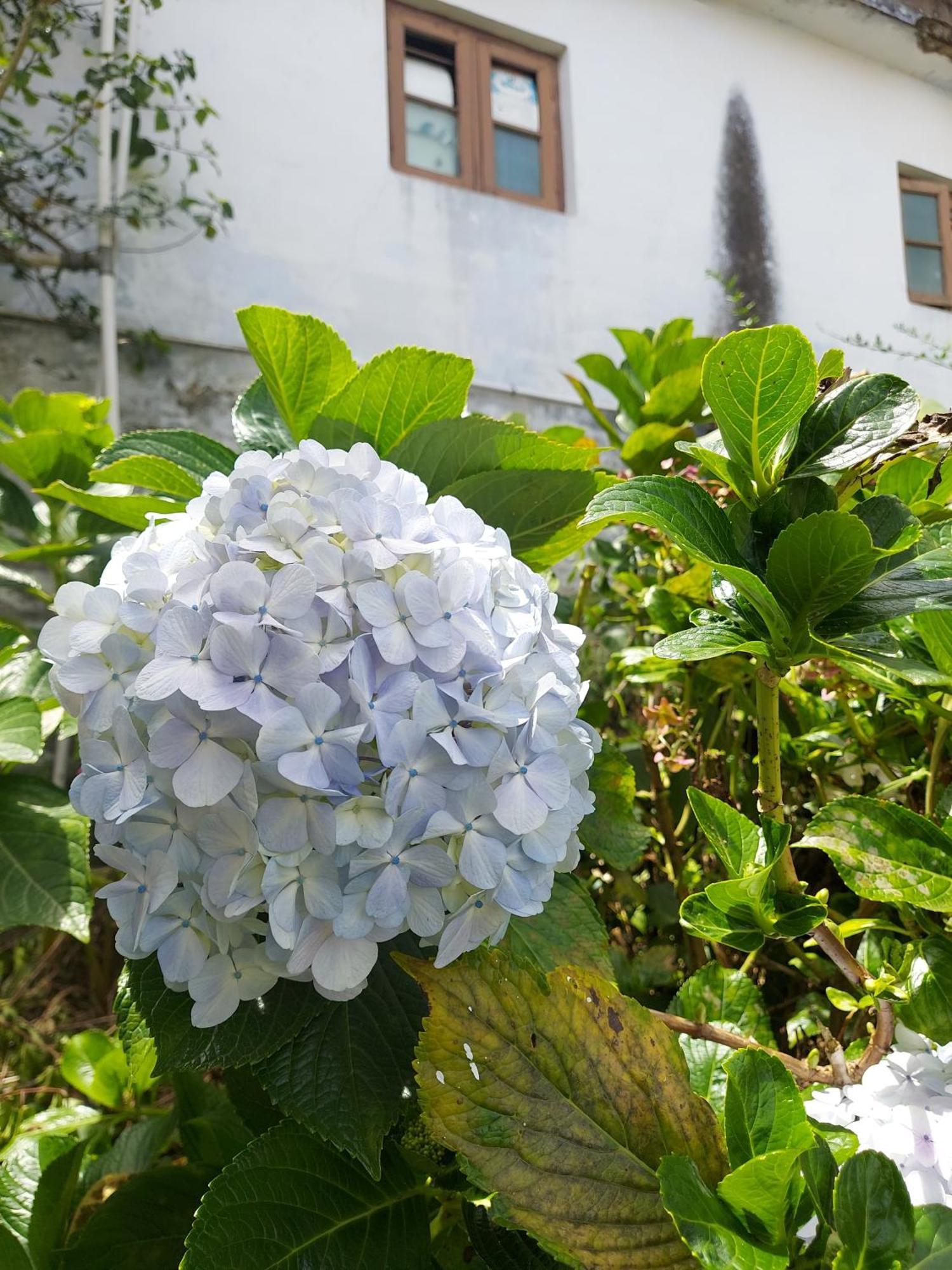 Amman Resorts Kodaikanal Dış mekan fotoğraf
